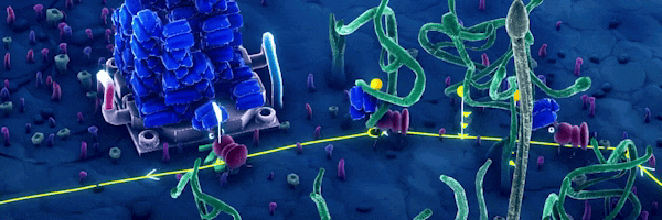 蚁托邦 Microtopia V1.2.0 官方中文【2G】插图4