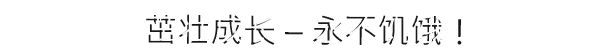 生存游戏 DYSMANTLE V1.4.1.1 最新中文学习版 解压即撸 【1.5G】插图11